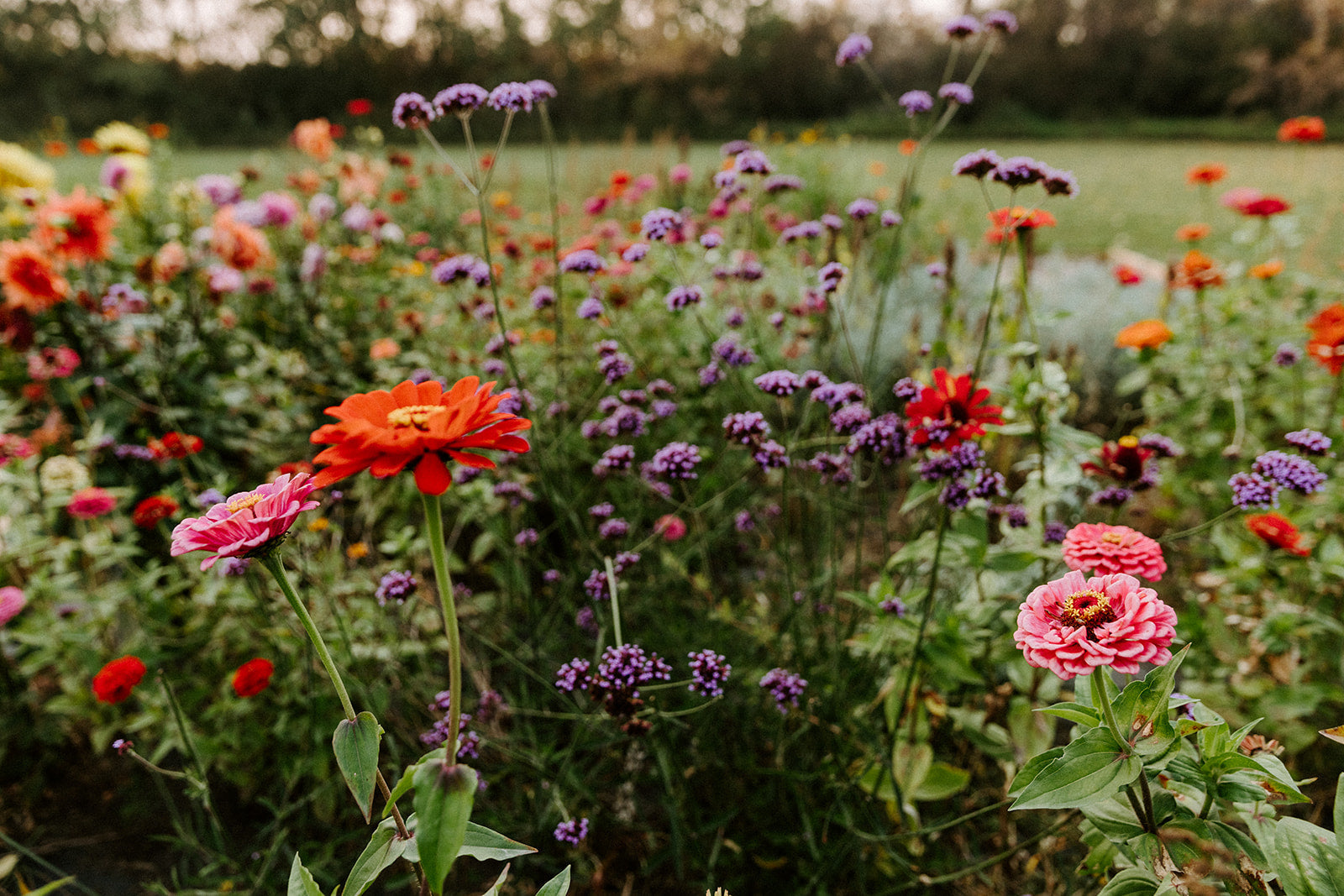 The Garden As Mother