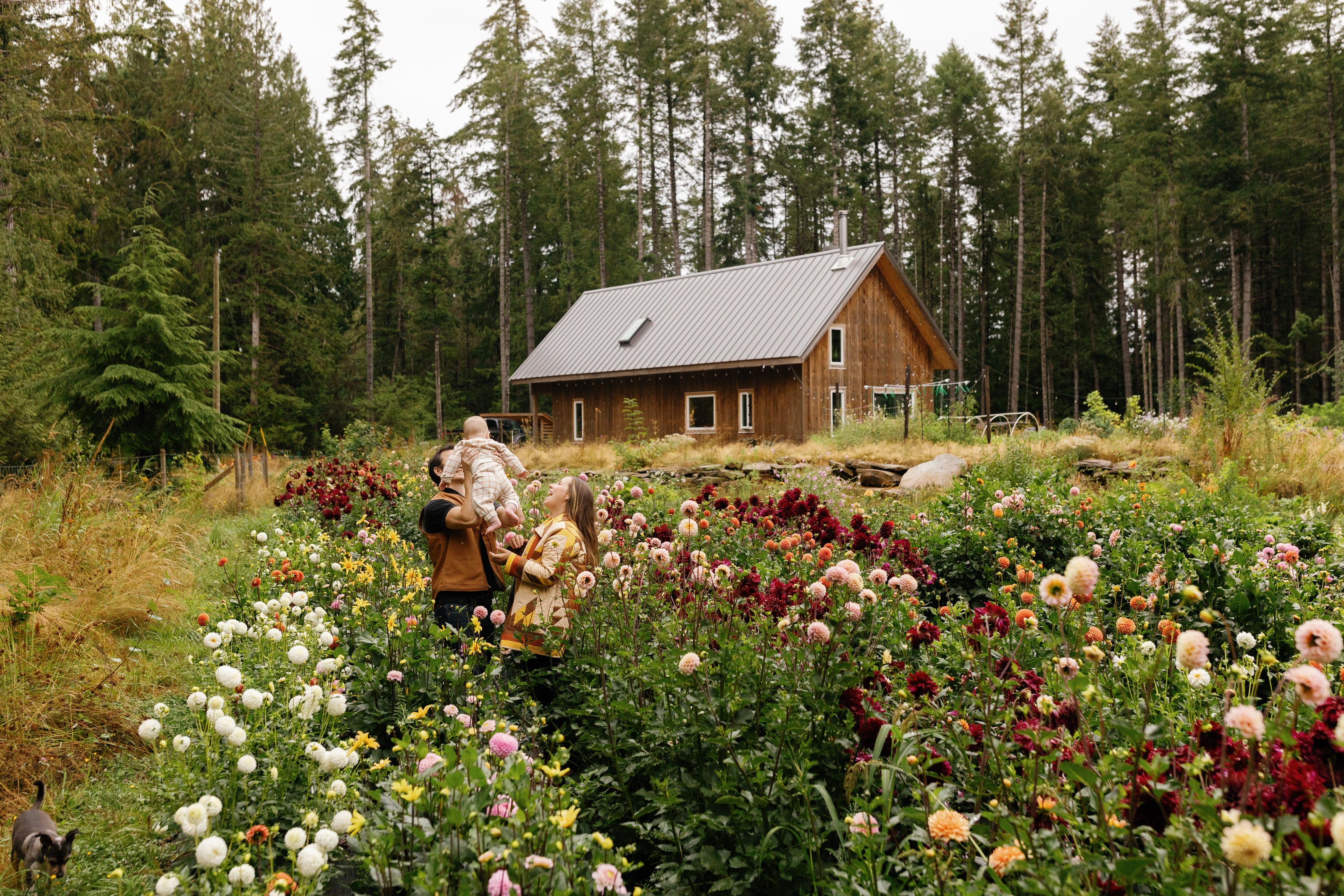 A Quest For Rest – FOLKLIFE