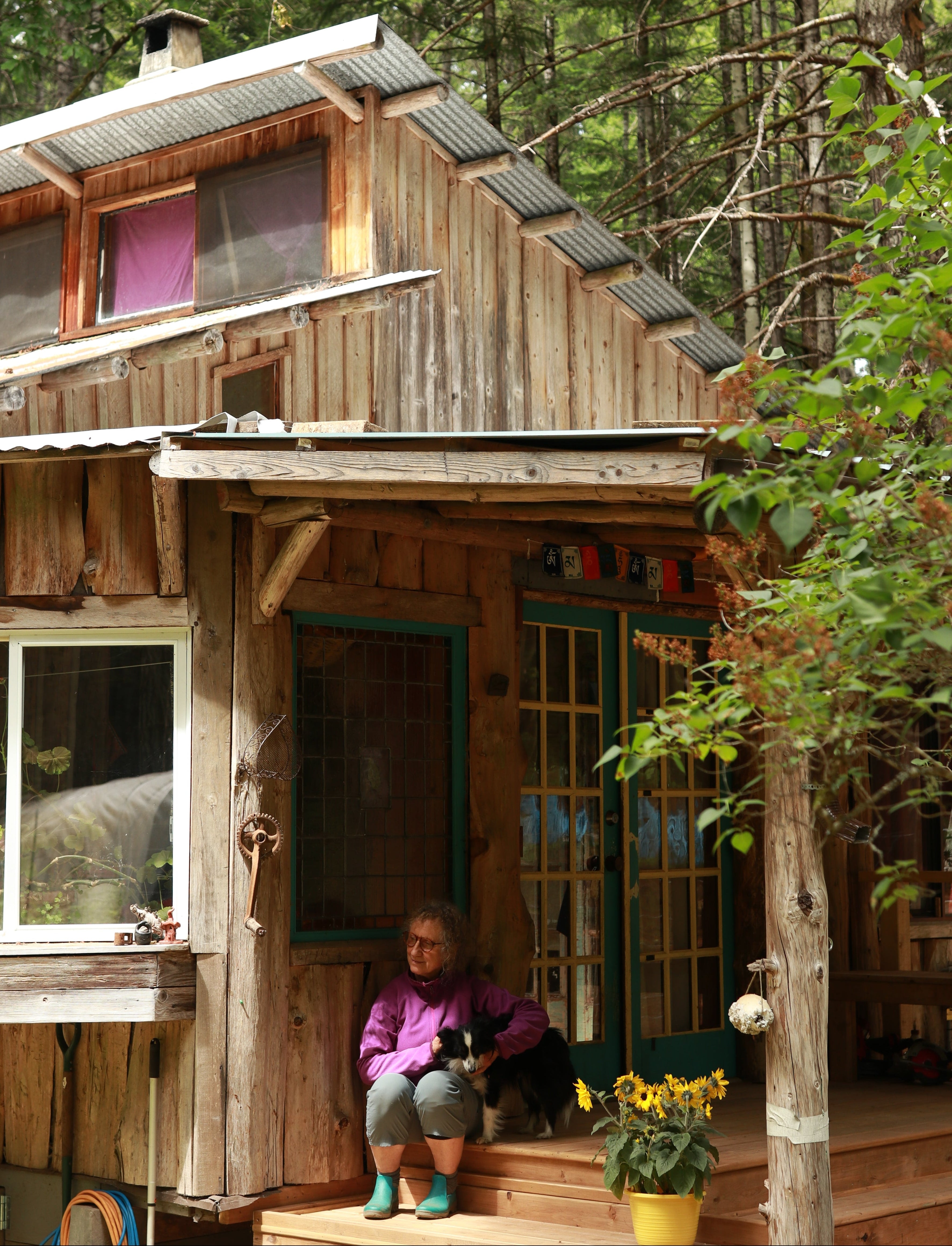 Slide image