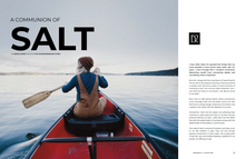 Load image into Gallery viewer, The Salt Volume - FOLKLIFE Magazine
