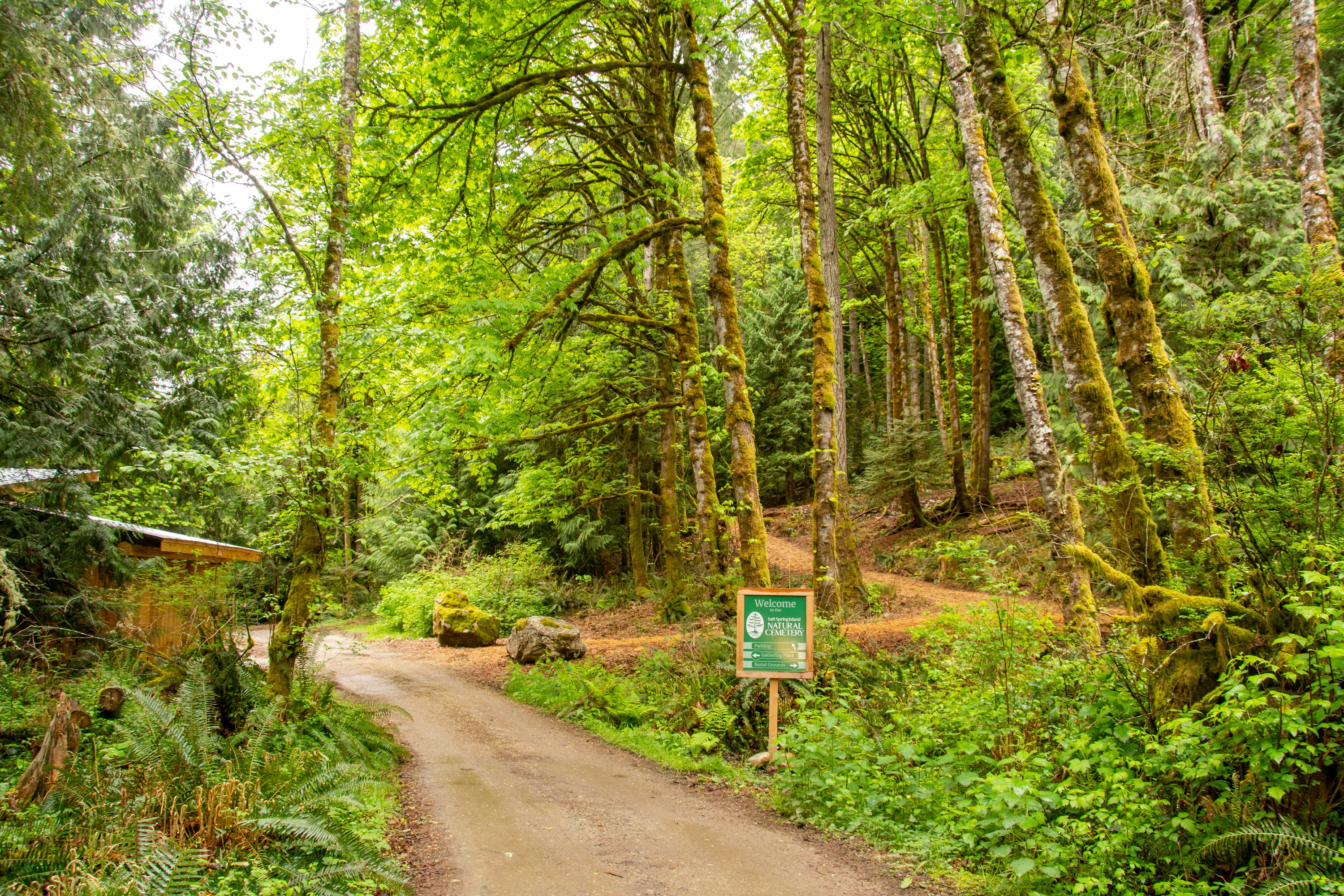 Wooden sign marking the entrance to a natural cemetery in a forest